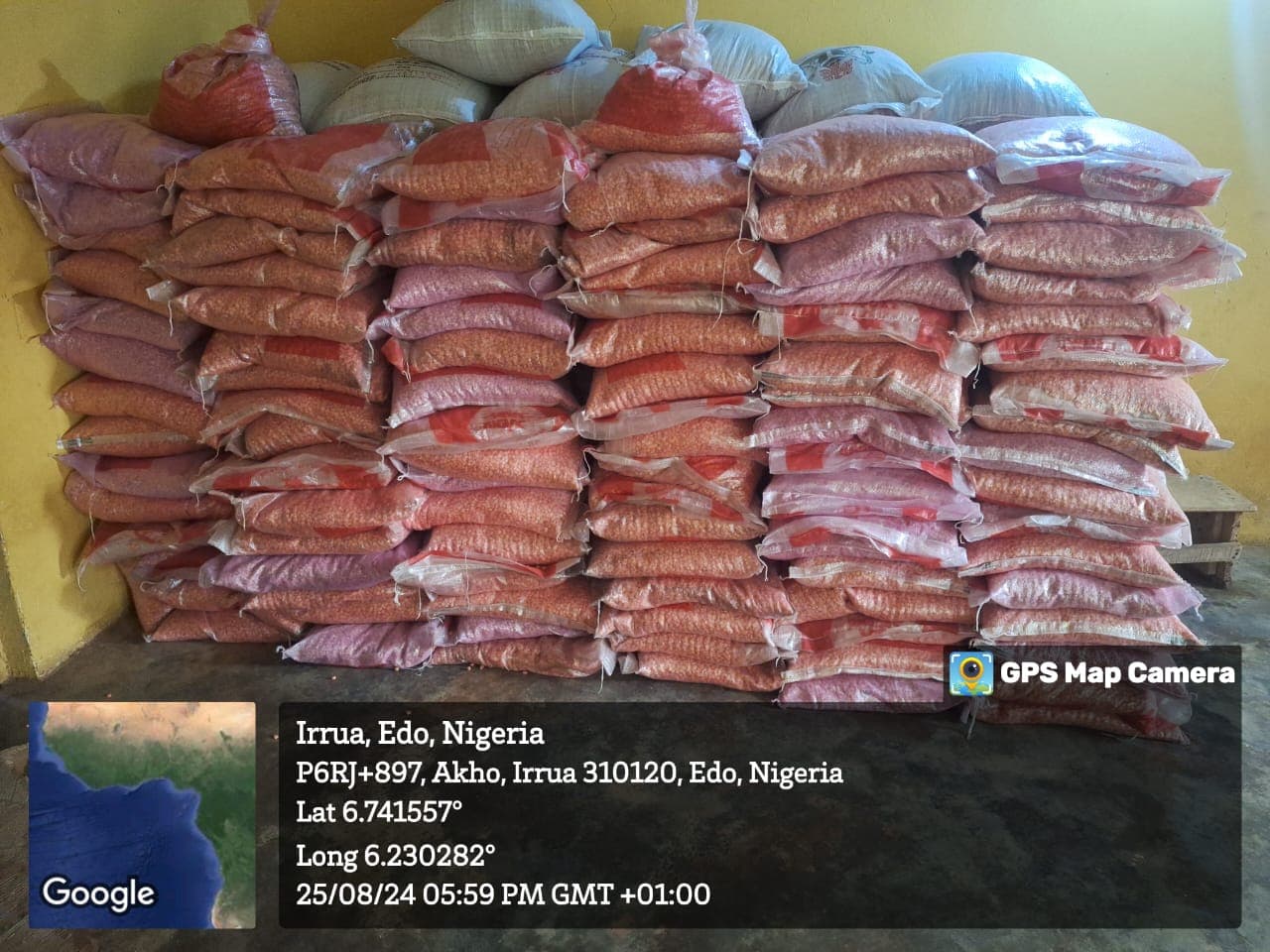 Bagged agricultural inputs