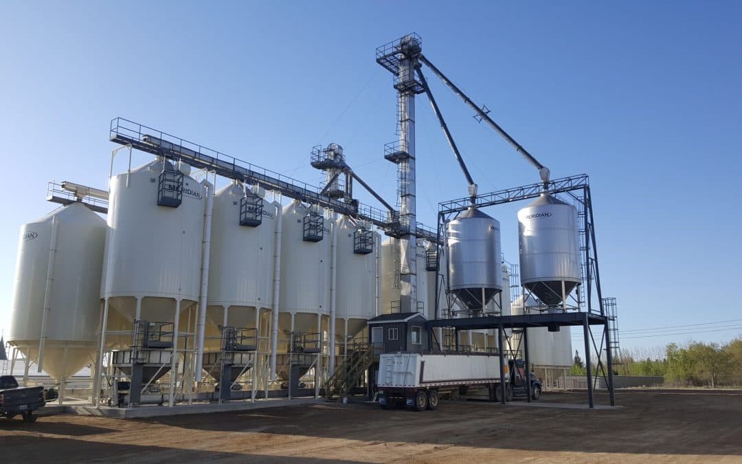 Innovating Agriculture for a Sustainable Future