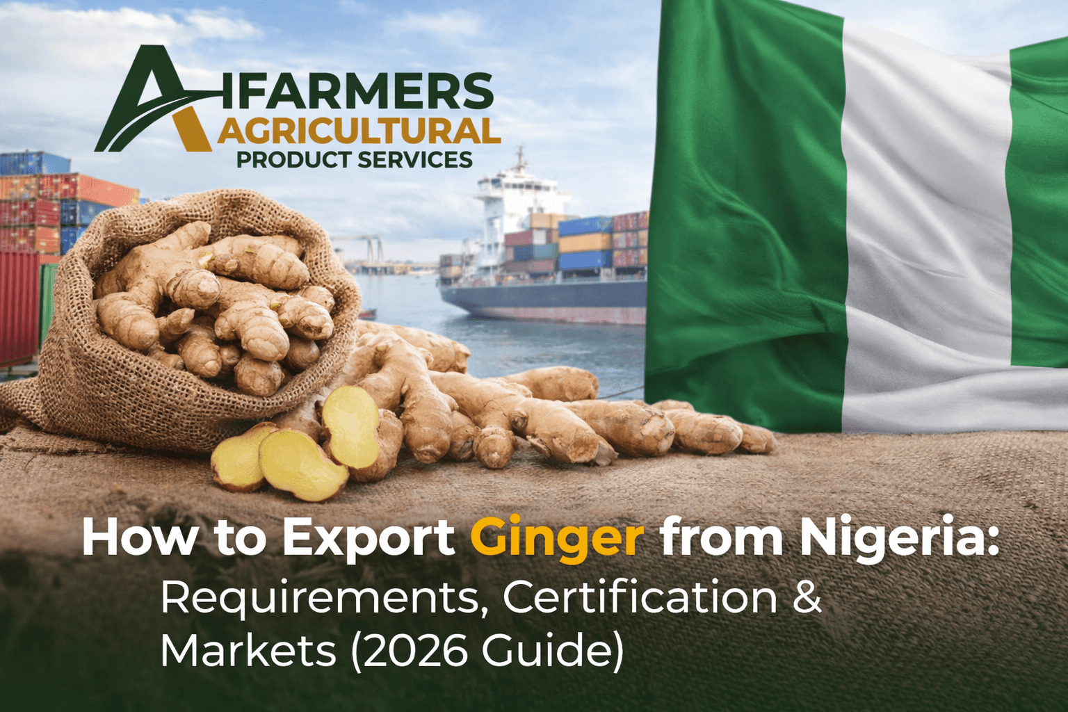 How to Export Ginger from Nigeria: Requirements, Certification & Markets (2026 Guide)