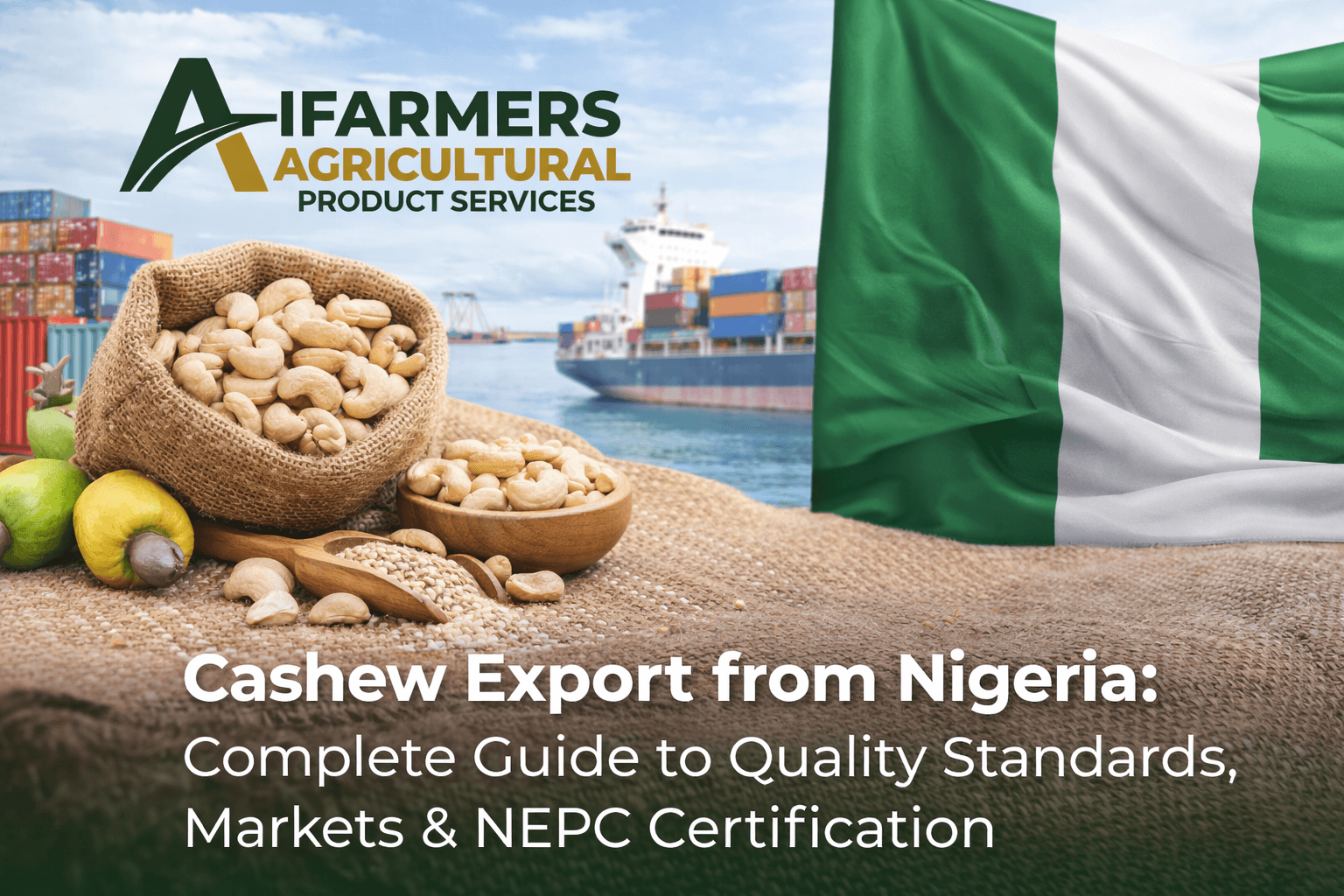Cashew Export from Nigeria: Complete Guide to Quality Standards, Markets & NEPC Certification