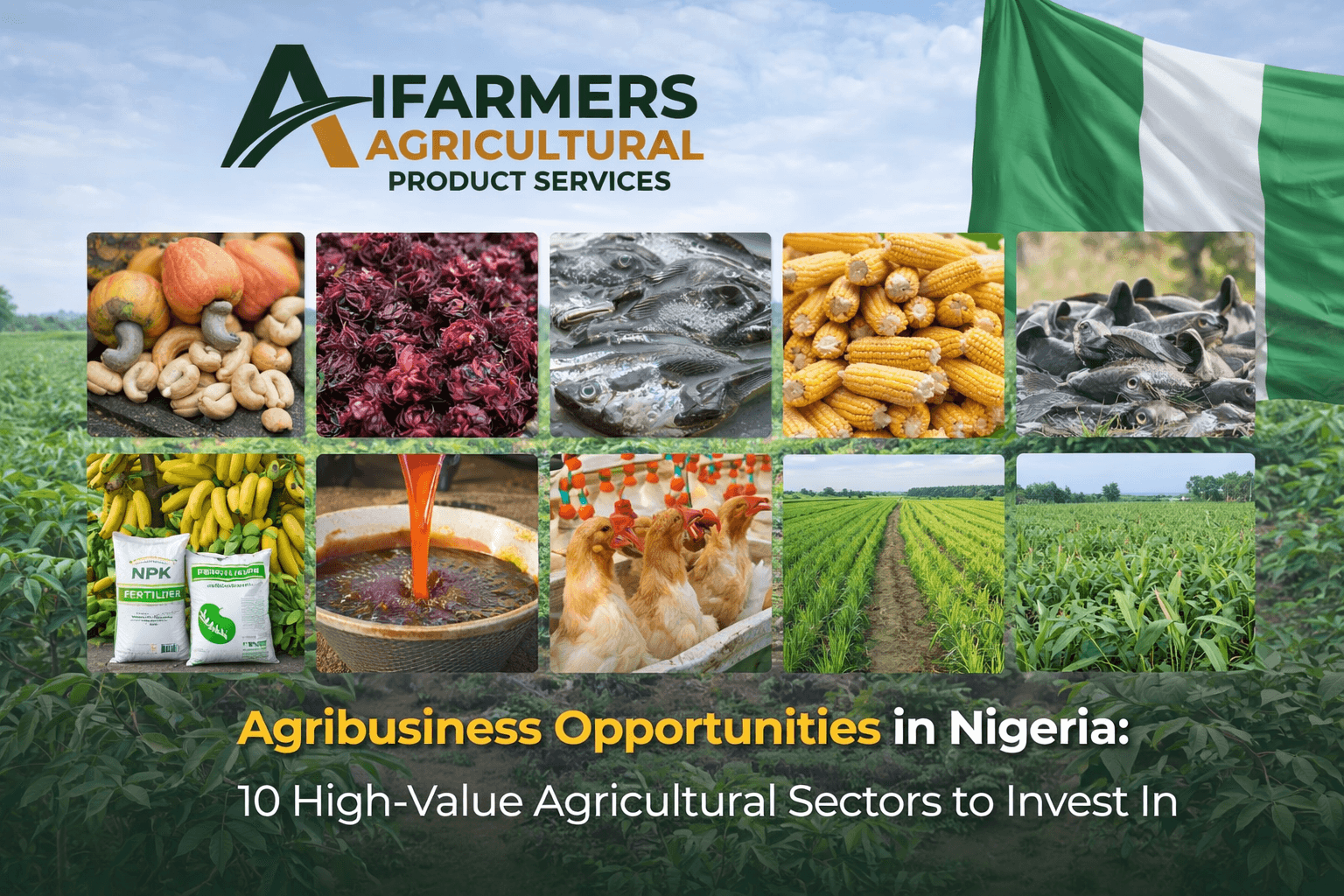 Agribusiness Opportunities in Nigeria: 10 High-Value Agricultural Sectors to Invest In